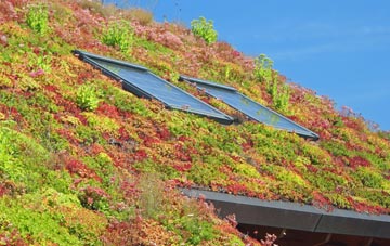 Bothel living roof systems