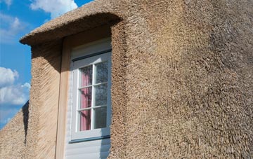 Bothel thatch roof disadvantages